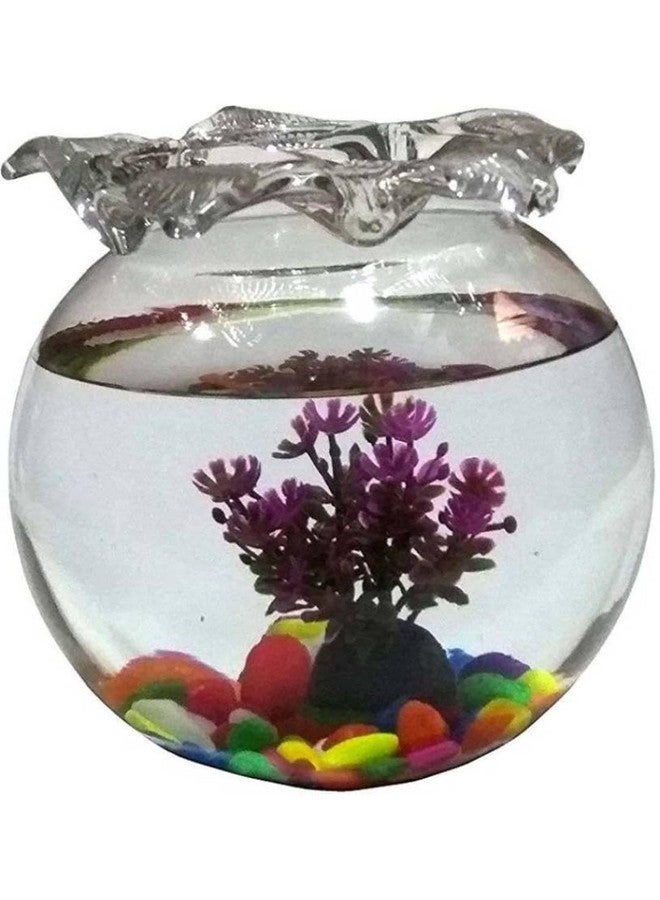 Afast Clear & Transparent Decorative Glass Fish Pot for Zoom View, Indoor Home, Room, Table Top, Dia -6 Inch, 15 X 15 X 15 Cm - Image 3